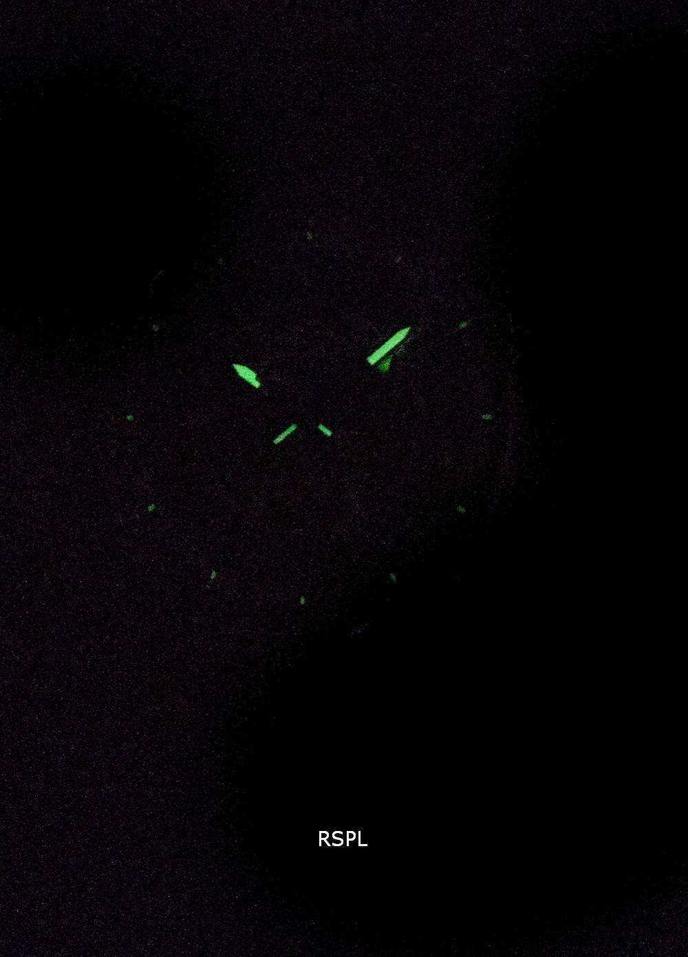 Bulova Classic 96A187 Automatic Men's Watch