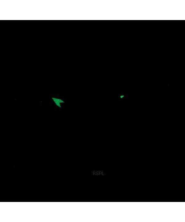 Casio Youth Analog Digital Resin Black Dial Quartz AEQ-120W-9AV AEQ120W-9 100M Men's Watch