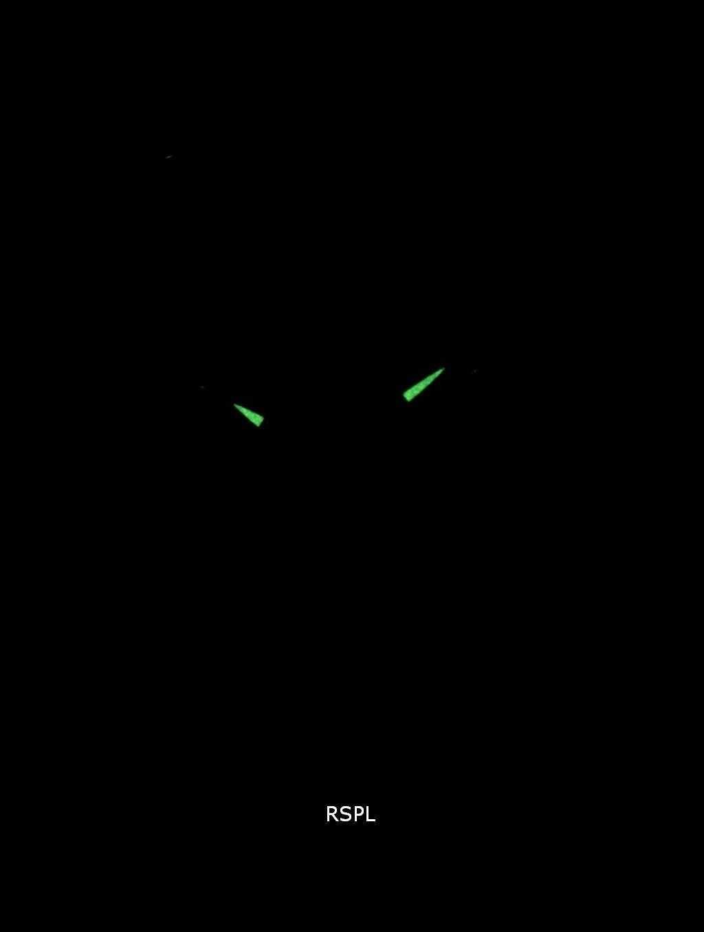 Casio Enticer Analog MTP-1314L-8AVDF MTP-1314L-8AV Mens Watch