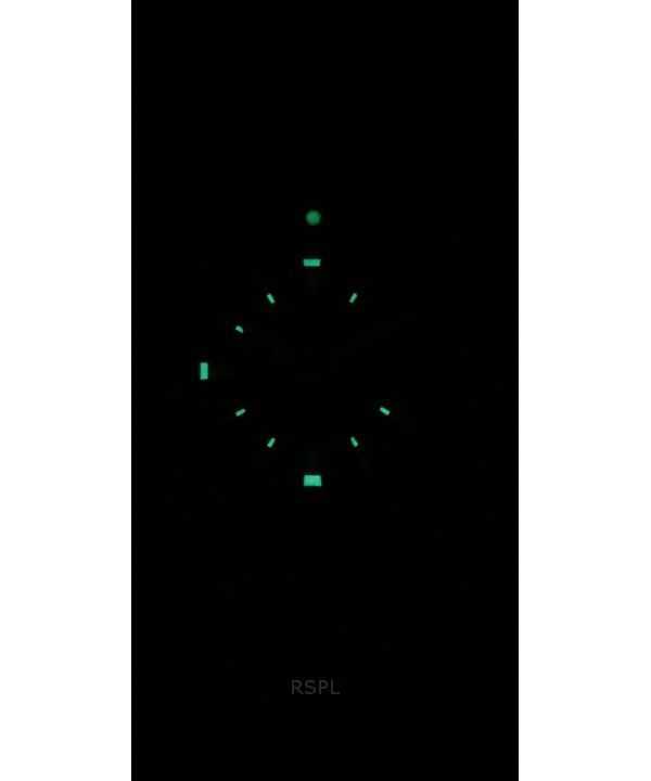 Edox Skydiver Limited Edition Leather Strap Grey Dial Automatic Diver's 80126 3VIN GDN 300M Men's Watch