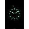 Fossil Breaker Silicone Strap Black Dial Quartz Diver's FS6062 200M Men's Watch